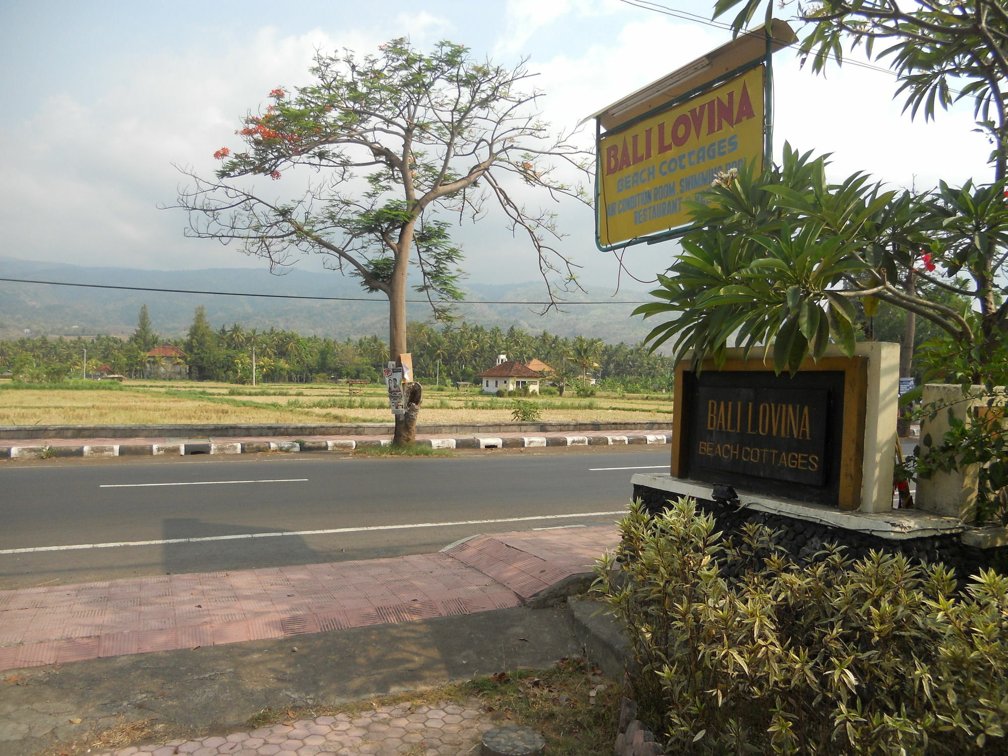 Bali Lovina Beach Cottages Buleleng  Luaran gambar