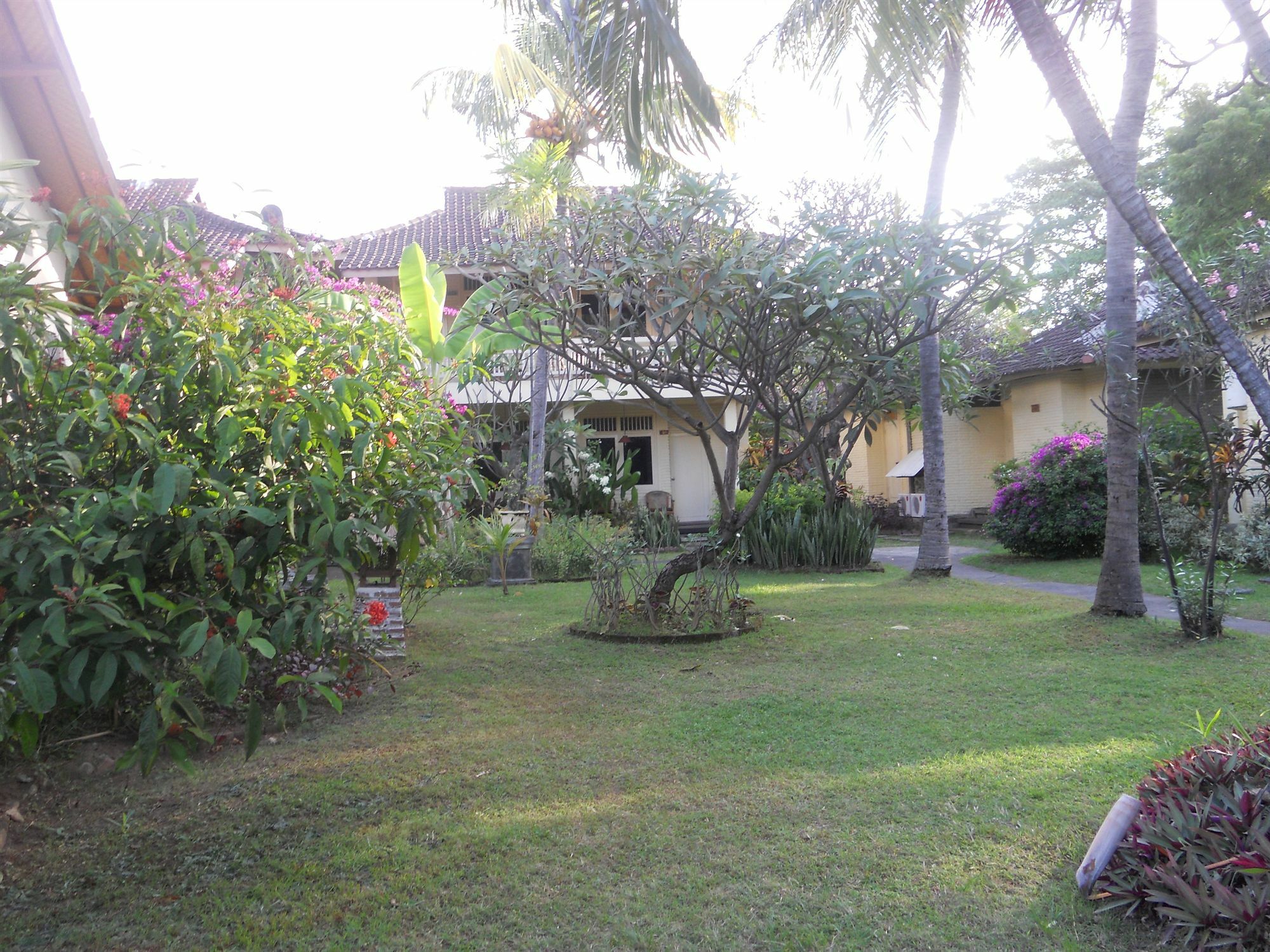 Bali Lovina Beach Cottages Buleleng  Luaran gambar