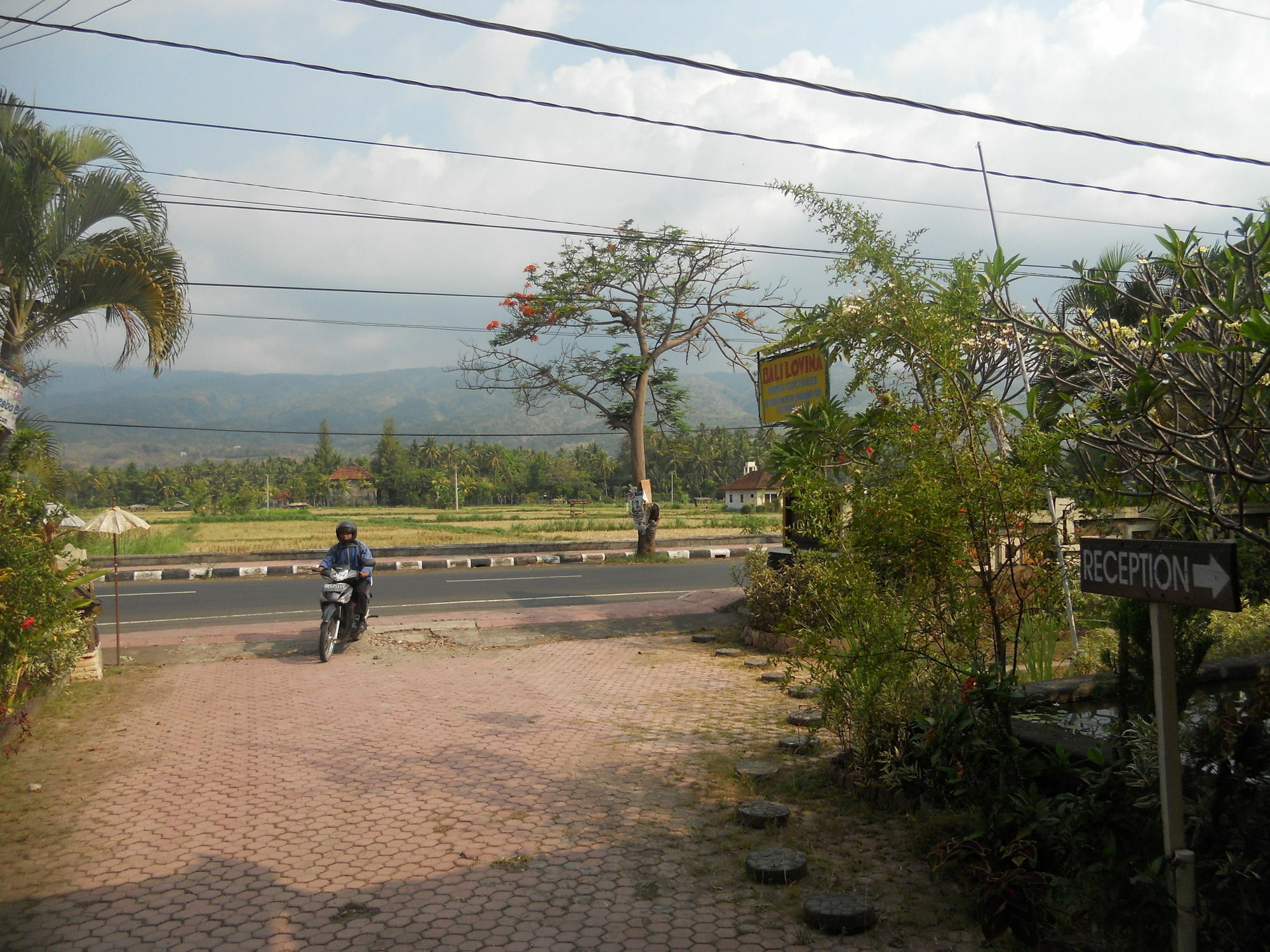 Bali Lovina Beach Cottages Buleleng  Luaran gambar