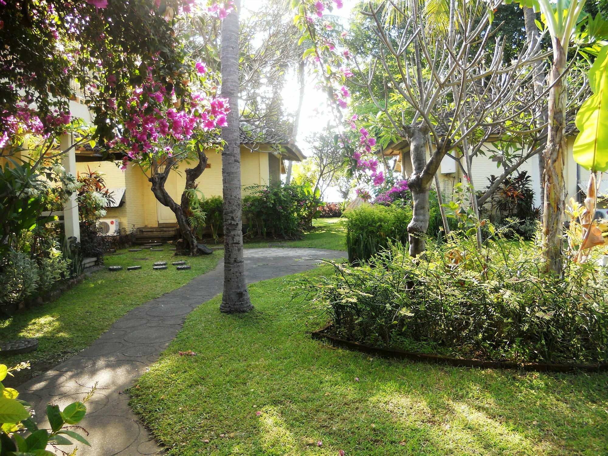 Bali Lovina Beach Cottages Buleleng  Luaran gambar