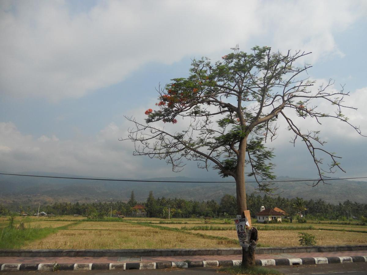 Bali Lovina Beach Cottages Buleleng  Luaran gambar
